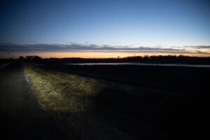 Field at night